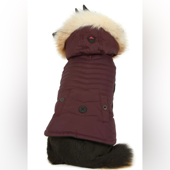 Pajar Canada Pup Other - NWT PAJAR CANADA PUP TOBY JACKET